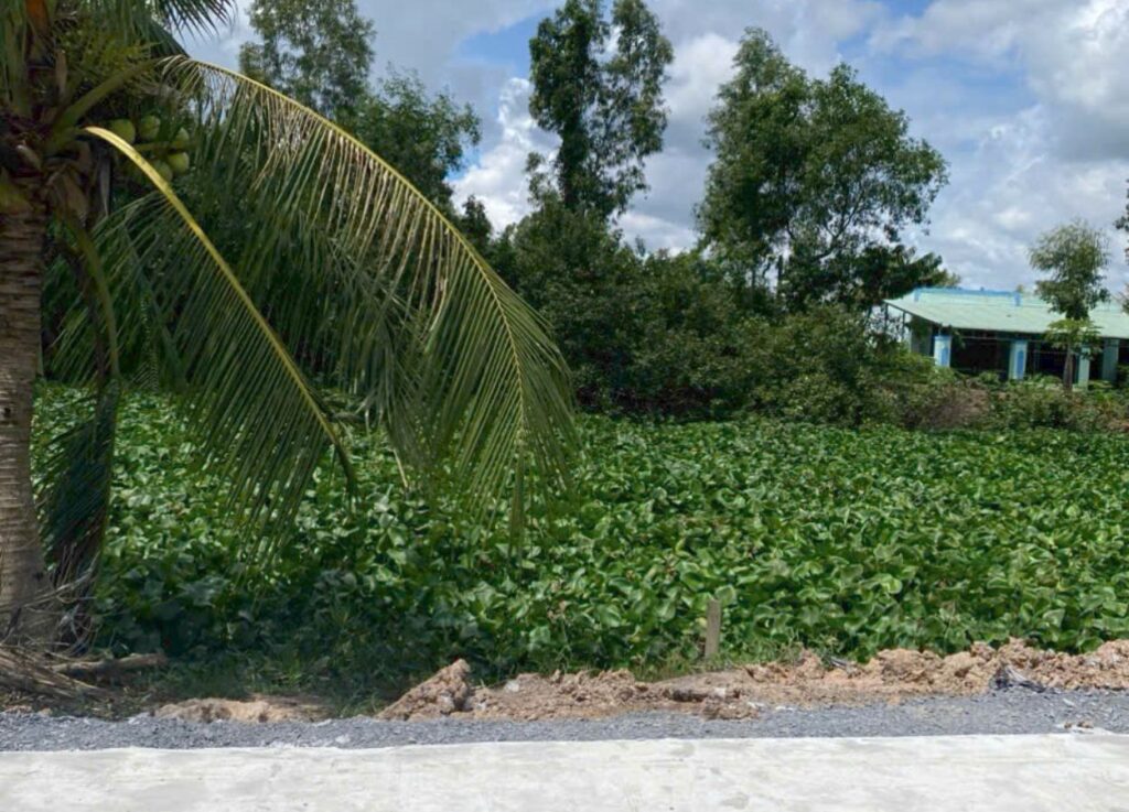 Mặt tiền đất mặt tiền kênh sau chợ Đức Hòa, view kênh thoáng mát cạnh cây dừa