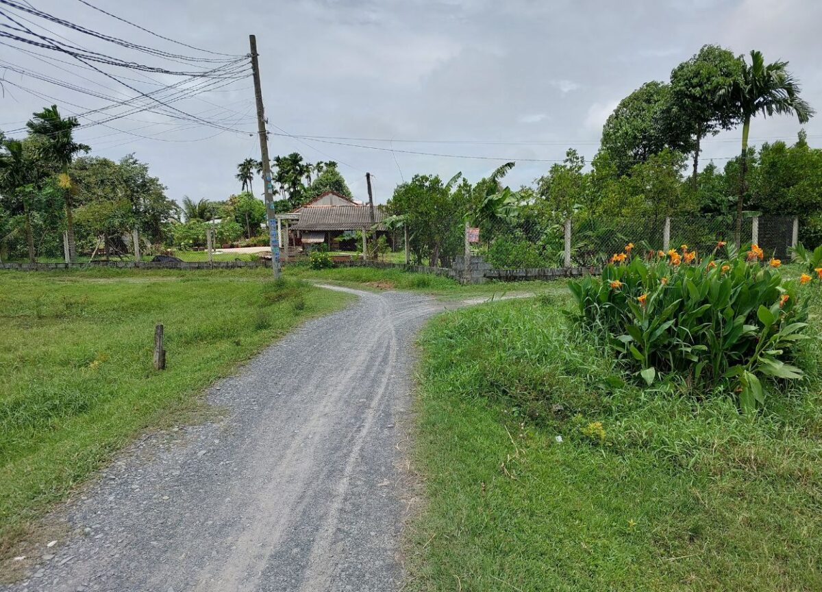 Tình Hình Giao Dịch Bất Động Sản Việt Nam Hiện Nay: Triển Vọng Nào Cho Nửa Cuối Năm 2025?