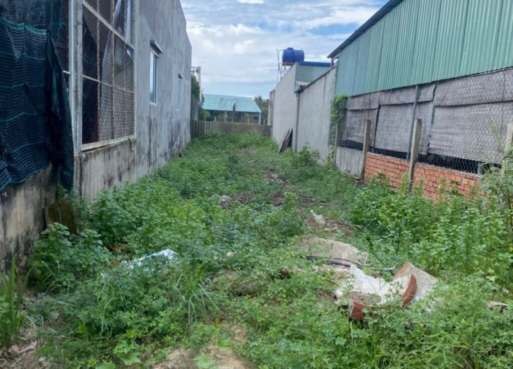 Đất nhựa Đức Hòa Đông – Cơ hội sở hữu bất động sản vị trí đẹp, giá tốt